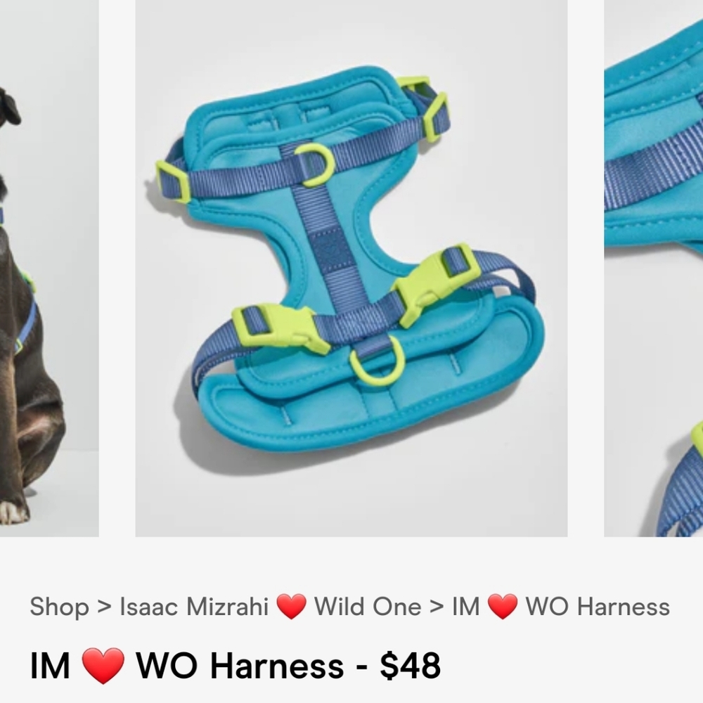 Wild One Dog Collar and Harness